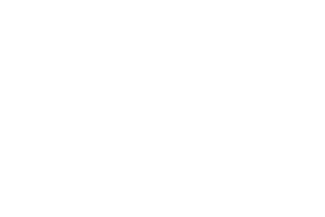 pepsico